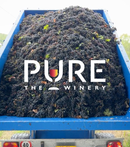 Photo post from purethewinery.