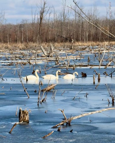 Carousel post from theresa13maria.