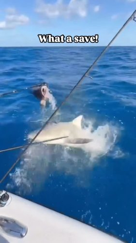 Video post from ejs_fishing_charters.