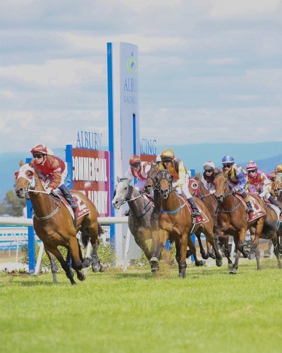 Photo post from alburycity.