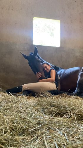 Video post from _lm_equestrian_.