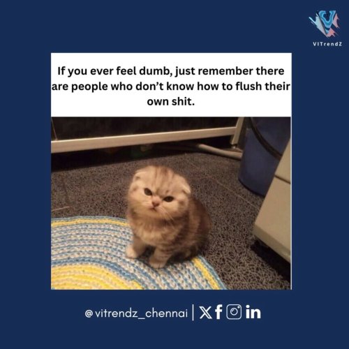 Photo post from vitrendz_chennai.