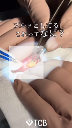 Video post from tcb_yamamoto.