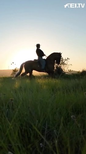 Video post from fei_global.