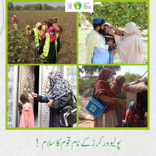 Photo post from pakfightspolio.