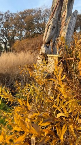 Video post from sussexprairies.