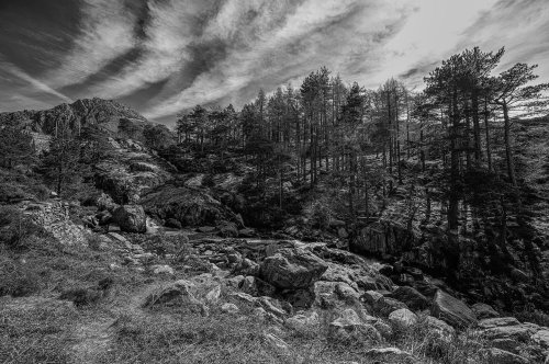 Photo post from rpswomeninphotography.