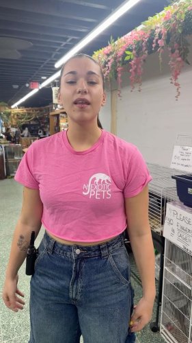 Video post from njexoticpets.