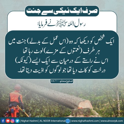 Photo post from nighathashmi.