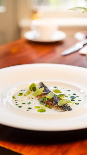 Video post from themoathouse.