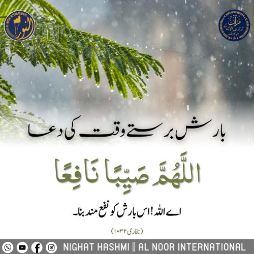 Carousel post from nighathashmi.