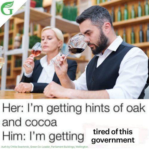 Carousel post from nzgreenparty.