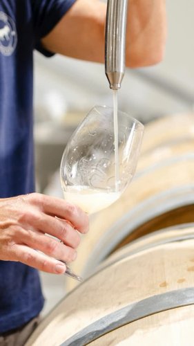 Video post from gundogestate.