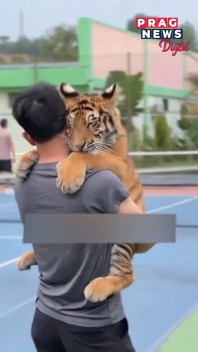 Video post from pragnewsofficial.