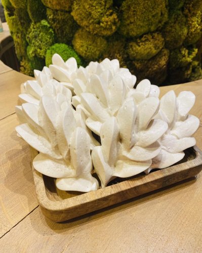 Photo post from miditreizepontarlier.