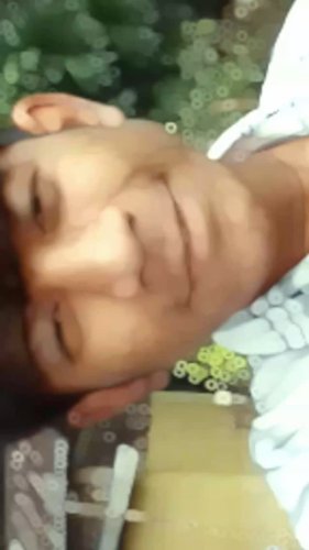 Video post from the__petornum.