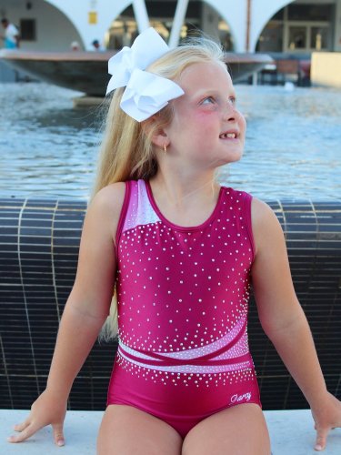 Carousel post from darcyleotards.