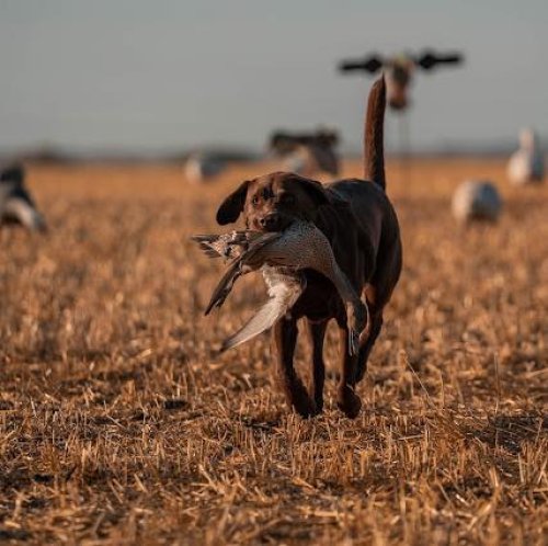 Carousel post from northernskiesoutfitters.