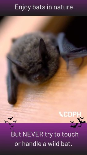 Video post from capublichealth.