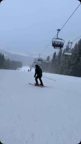 Video post from petr.svancara.