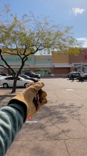 Video post from desertkingsfalconry.