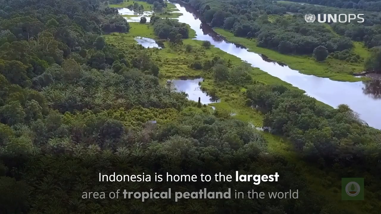 Video post from unops_official.