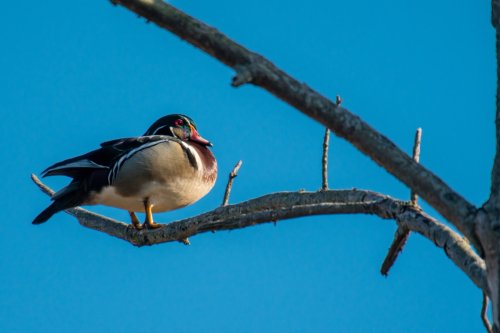 Carousel post from indianadunes.