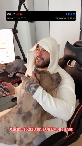 Video post from scorpiobrooklyn.