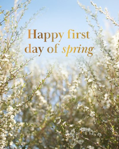 Photo post from comvita_nz.