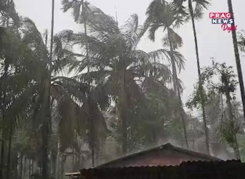 Video post from pragnewsofficial.