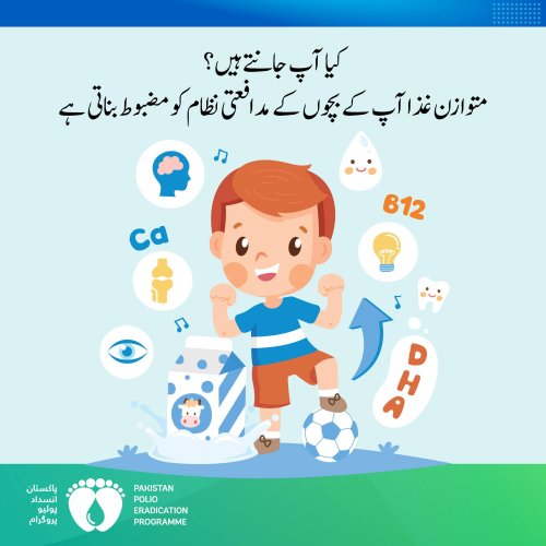 Photo post from pakfightspolio.