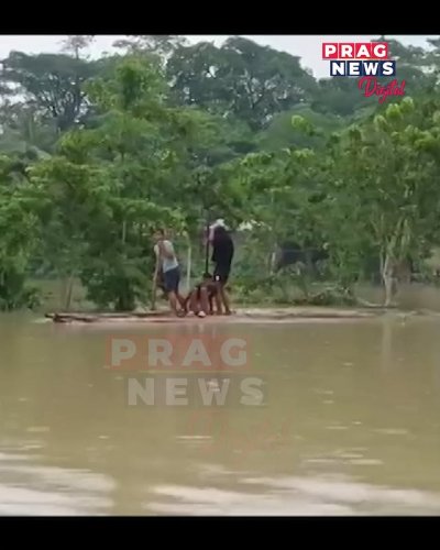 Video post from pragnewsofficial.