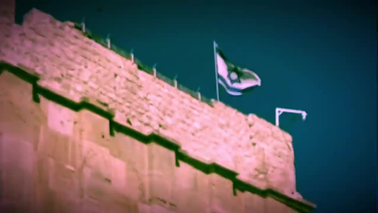 Video post from tjjlions.