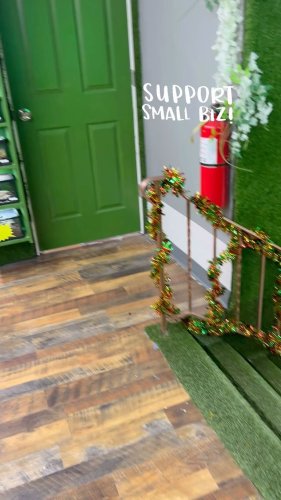 Video post from njexoticpets.