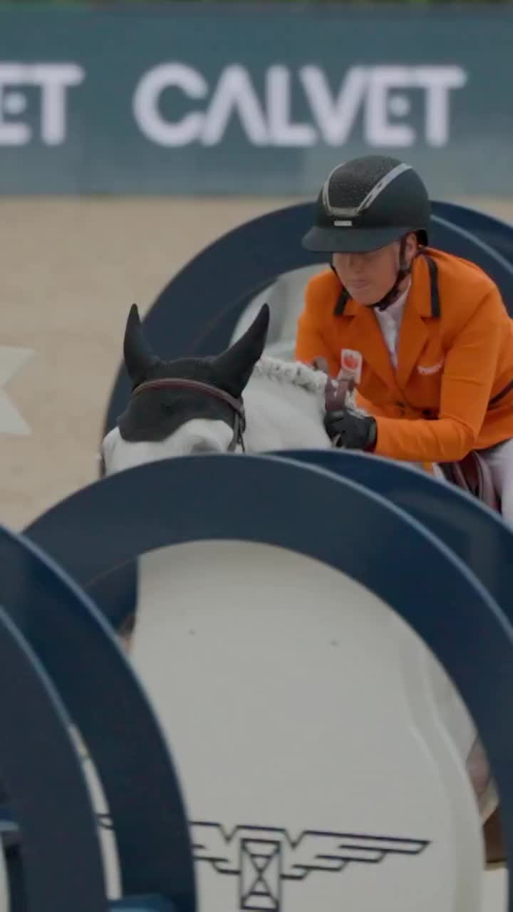 Video post from fei_global.