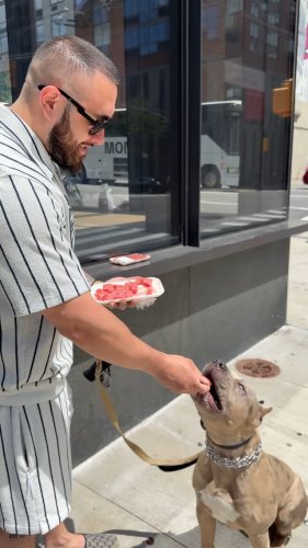 Video post from scorpiobrooklyn.