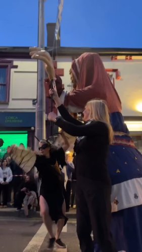 Video post from dinglepeninsulatourism.