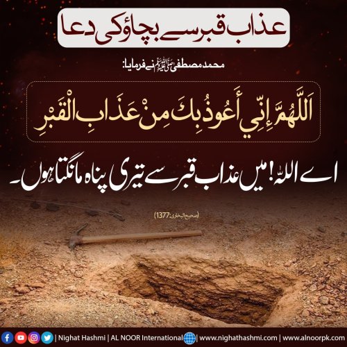 Photo post from nighathashmi.
