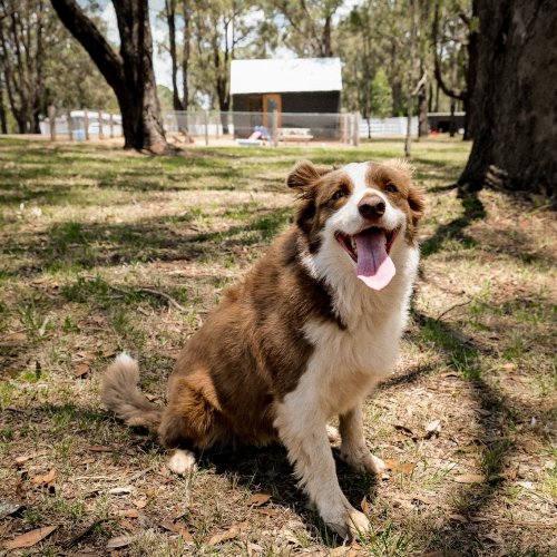Carousel post from the_station_hunter_valley.
