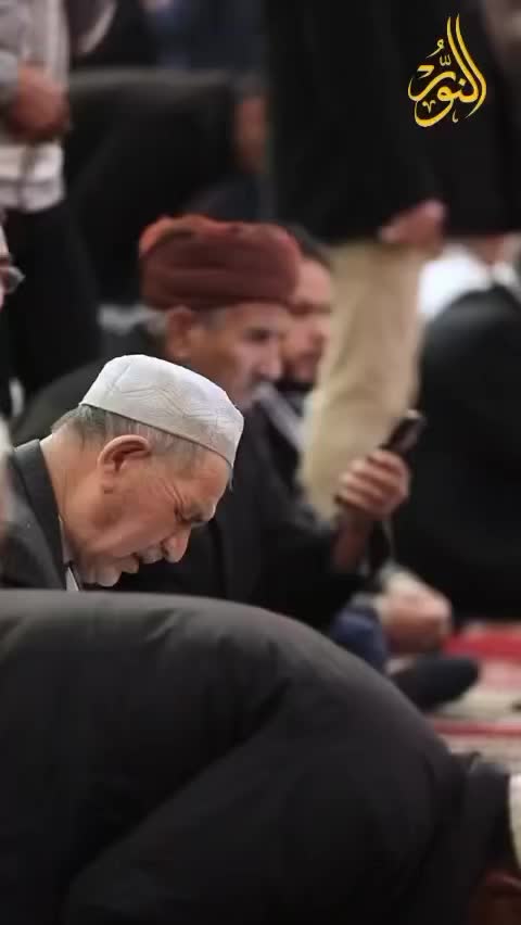 Video post from nighathashmi.