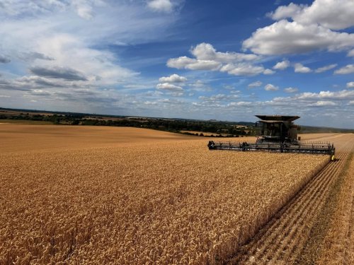Carousel post from crowmarshbattlefarms.