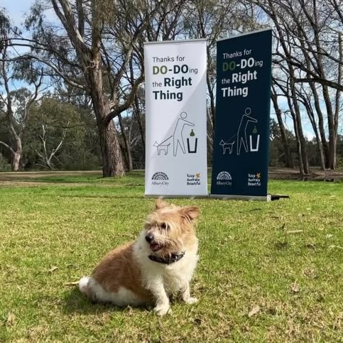Video post from alburycity.