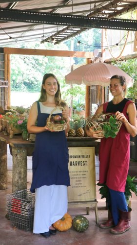 Video post from currumbinvalleyharvest.