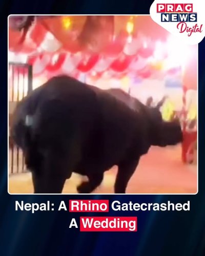Video post from pragnewsofficial.