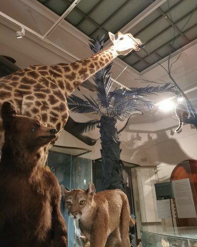 Photo post from visit.magdeburg.