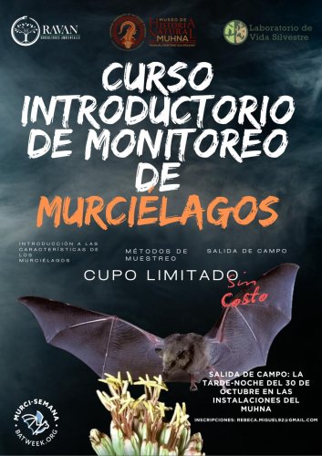 Photo post from murcisemana_oficial.