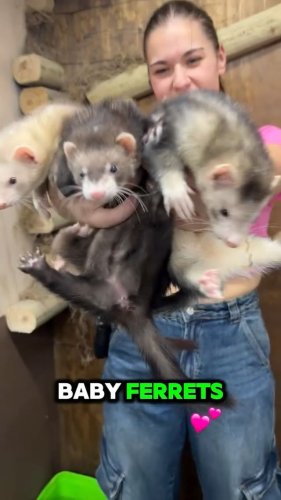 Video post from njexoticpets.