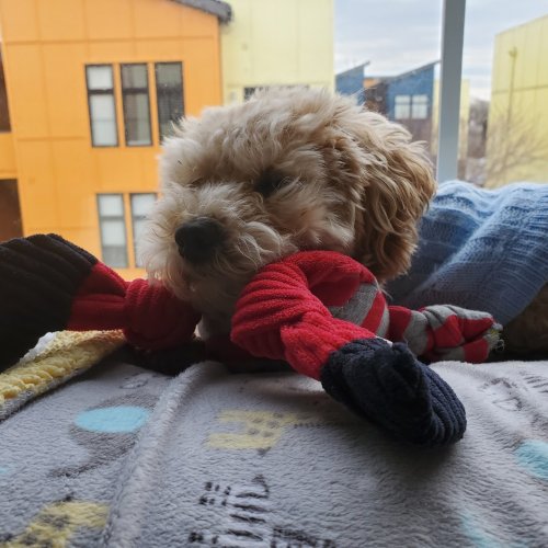Photo post from lennoxflatscolumbus.