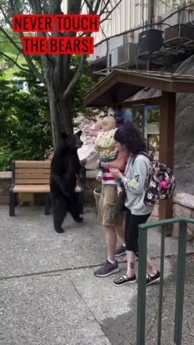 Video post.
