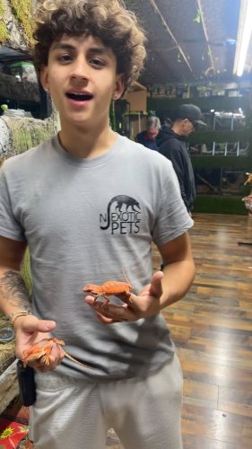 Video post from njexoticpets.